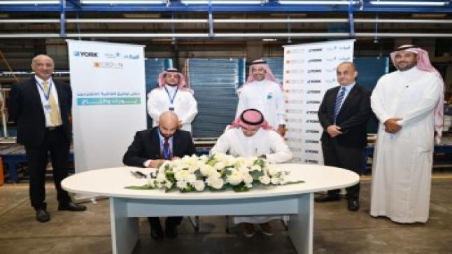 تأسيس أول نادي لرياضة الهايكنج في جازان