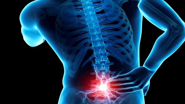 آلام الظهر خلال ساعات العمل .. ما هي أسبابه وكيف نقي أنفسنا منه؟