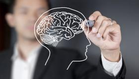 لحماية العقل.. أطعمة تحافظ على الصحة العقلية للإنسان