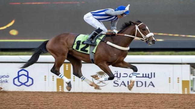 “جياد ميادين المملكة” تتبارز من أجل الألقاب والجوائز