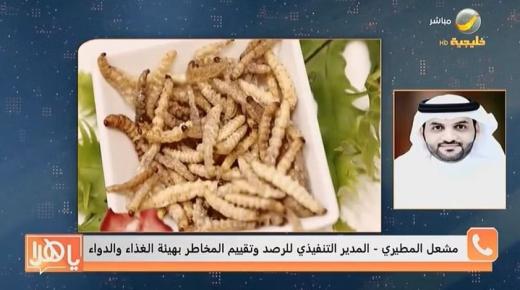 المطيري يصرح .. مسحوق الحشرات ممنوع من الدخول إلى المملكة