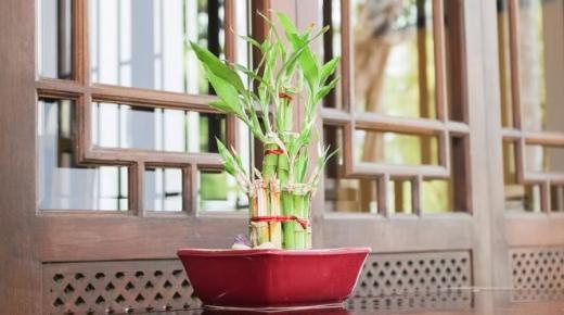 طرق بسيطة لزيادة الطاقة الإيجابية في المنزل