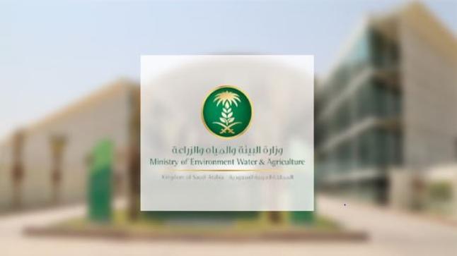 البيئة تصدر حملة “حملة حماية الغطاء النباتي” لتأهيل 70% من المراعي