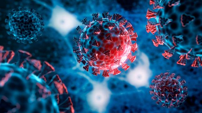 استشاري مناعة: متحور كورونا الجديد غير مثير للقلق